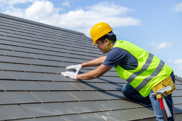 Roof Gutter Cleaning in Pendleton, SC